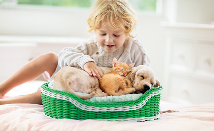 Ein kleines Kind mit einem Hund und einer Katze im Körbchen