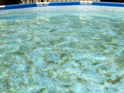 Die Wasseroberfläche eines runden Pools mit sichtbaren grünen Verfärbungen und Algenablagerungen