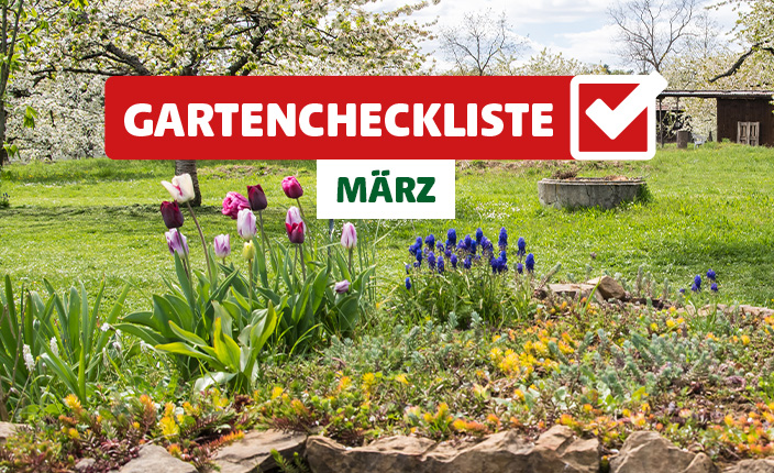 Blumenbeet im Garten für eine Gartencheckliste