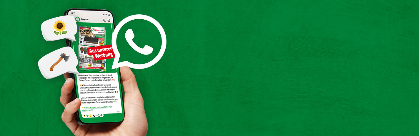 Smartphone mit dem geöffnetem hagebau WhatsApp Kanal